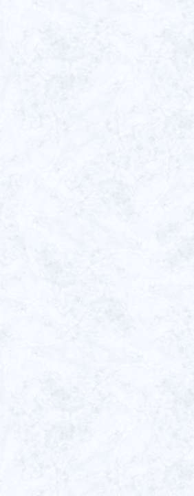 Panneau mural douche VIPANEL MARBRE BLANC MAT 1500x2550x3MM ROTH - 1420000015
