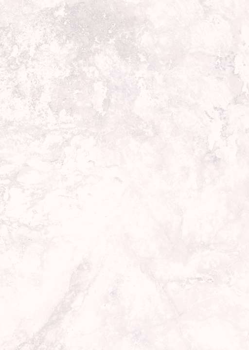 panneau mural Vipanel marbre BLANC ROSE BRI. 1500x2550mm 3mm - 1420000206