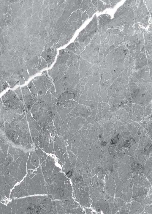 panneau mural douche Vipanel aragon anthracite BRI. 1500x2550x3mm ROTH - 1420000212