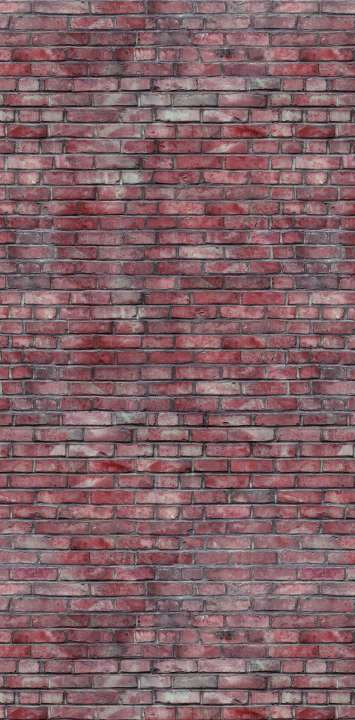 panneau mural douche Vipanel pierre briques rouges VEL. 1000x2550x3mm ROTH - 1420000311