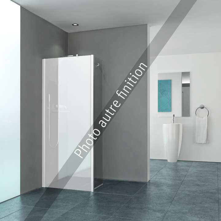 Paroi de douche walk-in EQUI EITWA L40 H2M argent v.clair ETC ROTH - 1406000697
