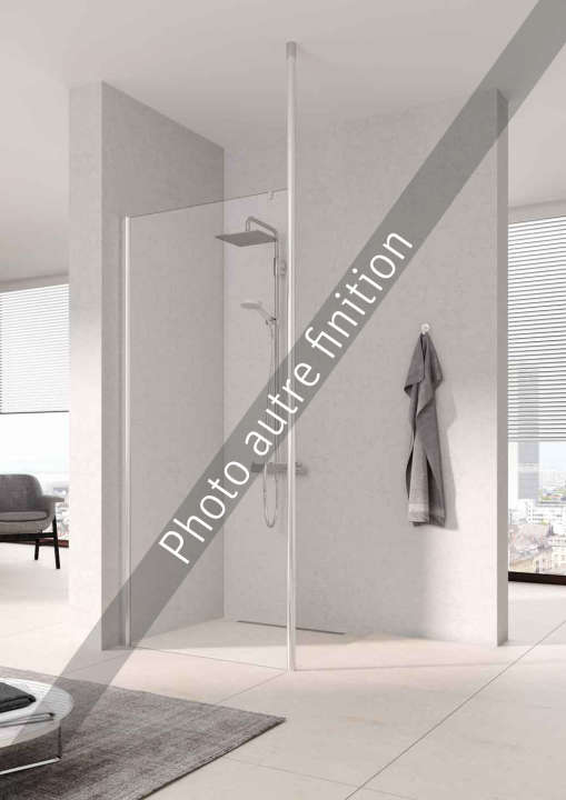 Paroi walk-in PEGA PETWP L140 2M argent poli v.clair clean ROTH - 1403036192