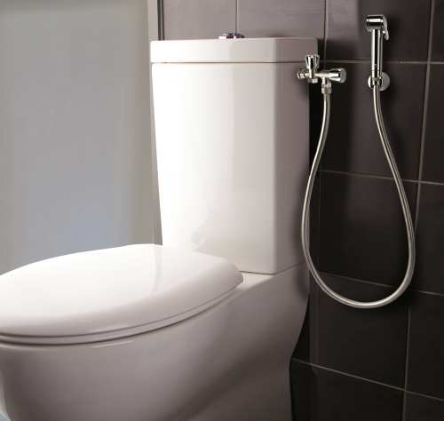 applique wc extérieure avec douchette a impulsion chrome BOSSINI - WC90251